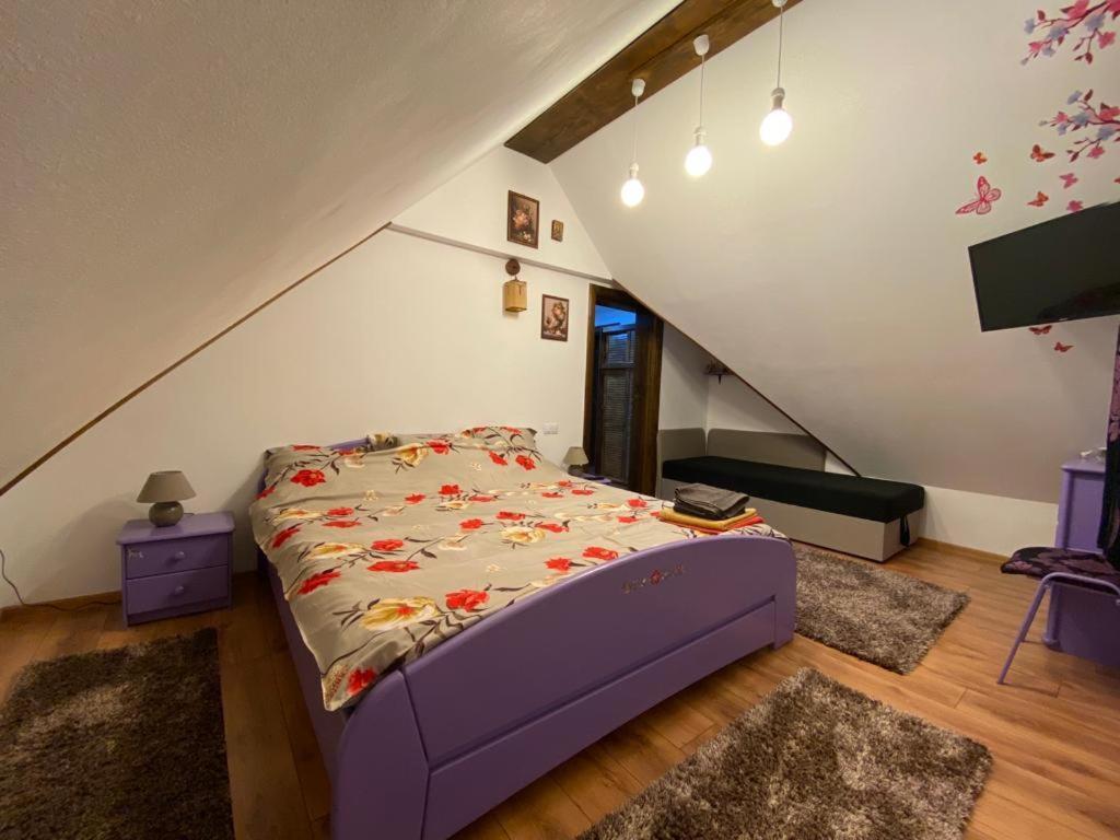 Conacul Caterinei Otel Polovragi Dış mekan fotoğraf