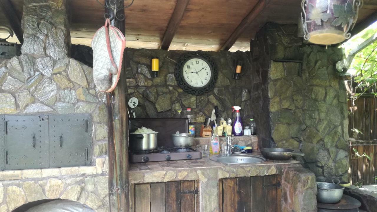 Conacul Caterinei Otel Polovragi Dış mekan fotoğraf