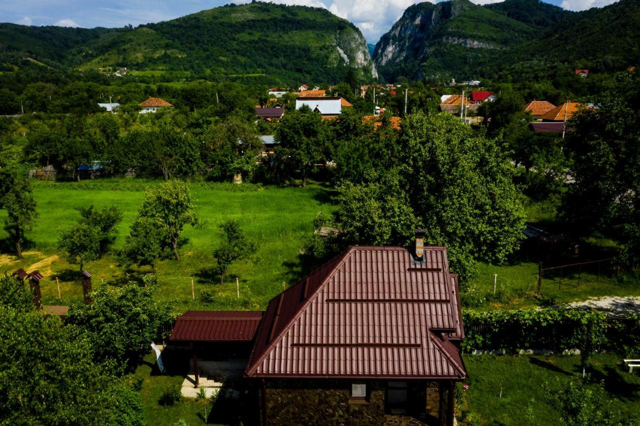 Conacul Caterinei Otel Polovragi Dış mekan fotoğraf